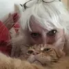 freda roberts - @freda.roberts1 - TikTok