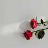 Freda Rogers - @freda.rogers0 - TikTok