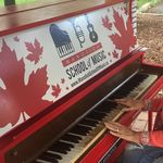 Freda Ryan - @tiggie49 - Instagram