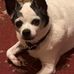 Freda Sanders - Facebook