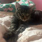 Freddy Saunders - Facebook