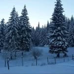 Freda scott - @fredascott76 - Instagram
