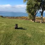 Freda Scott - @dm.scott08 - Instagram