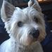 Freda Sloan - Facebook