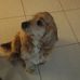Freda Small - Facebook