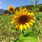 Freda Smith - @freda.smith.982845 - Instagram