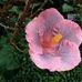 Freda Snyder - Facebook
