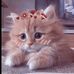 Fareda Salahl - Facebook
