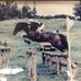 Freda Stuart - Facebook