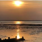 Freda Stuart - @fredastuart - Instagram