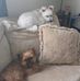 Freda Sweeney - Facebook
