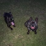 Freda Taylor - @freda_taylor62 - Instagram