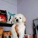 Freda Todd - Facebook