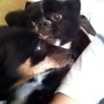 Freda Todd - @_fredatodd_ - Instagram