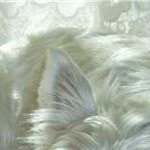 Freda Walker - @freda_walker2001yahoocom - Instagram
