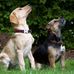 Freda Walker - Facebook