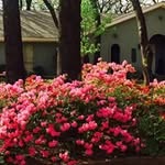 Freda Davis Ward - @freda8998 - Instagram