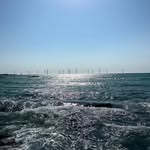 Freda Ward - @fredaward81 - Instagram