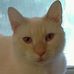 Freda Warren - Facebook
