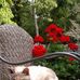 Freda Waters - Facebook