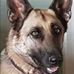 Freda Waterston - Facebook