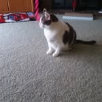 Freda Weaver - @lafreweaver - Instagram