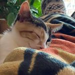Freda Fitzgearld Wells - @fmwells55 - Instagram