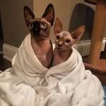 Freddie & Whitney - @hold_my_coat - Instagram