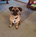 Freda Wing - Facebook