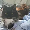 fredawinters - @fredawinters - TikTok