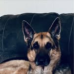 Freda Wood - @freda.wood.777 - Instagram