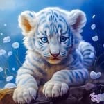 Freda Workman - @workman_freda - Instagram