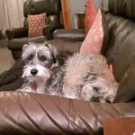 Freda Wright - @fredawright65 - Instagram