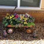 Fredda Morse - Facebook