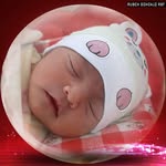 Freddy Sanchez - @freddi.sanchez.585 - Instagram