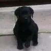freddieashworth - @freddieashworth4981 - TikTok
