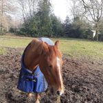 Freddie austin - @freddieaustineventing - Instagram