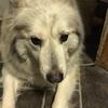 Freddie Austin - @freddie.austin8 - TikTok
