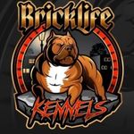 Bricklife_freddiebattle - @bricklife_freddiebattle - Instagram