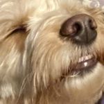 FreddieBean - @sirfrederick_mcbeanson1 - Instagram
