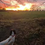 freddiebeanland - @freddiebeanland - Instagram
