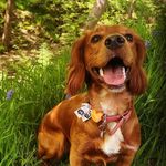 @freddiebeantravels - Instagram