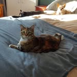 Rosie Noodle Bean Freddie - @rosienoodlebeanfreddie - Instagram