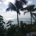 Fred Bland - @freddieb6464 - Instagram