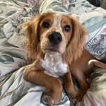 Becki Jones - @freddie.bockerboy - Instagram
