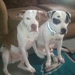 Freddie Bonham - @freddie.bonham.988 - Instagram