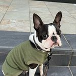森下　美鈴 - @freddie_boston_107 - Instagram