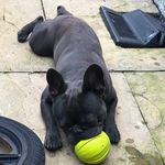 Freddie Bowden - @bowden.freddie - Instagram