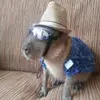 freddiejbowden - @freddiejbowden - TikTok