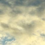 @freddie_bowman_ - Instagram
